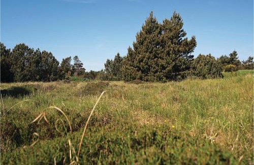 Blavand Strand House | Holiday Home Ingridsvej Iv