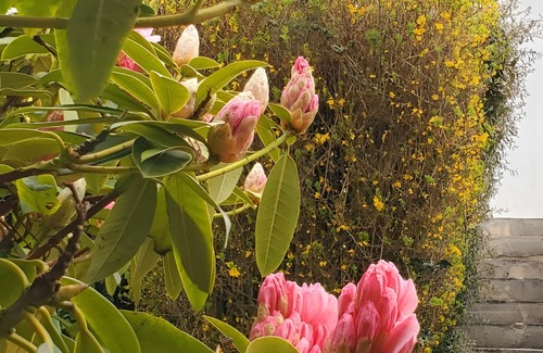 Cancale House | Holiday Home 'Maison De Caractère' with Shared Terrace, Private Garden and Wi-Fi