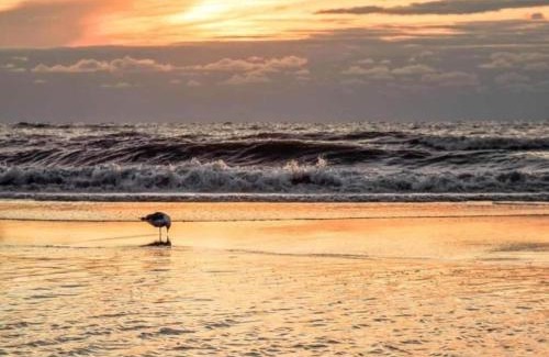 Municipality of Noordwijk House | Holiday Home Noordwijk near Beach & Sauna