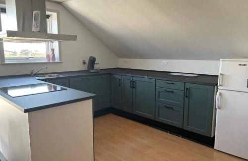 Sonderho House | Holiday home Ribe V