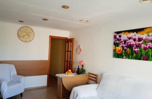 Alicante Apartment | Holiday Home Salinas 7