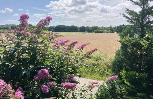 Faaborg House | Holiday Home Thessa - 4km from the sea by Interhome