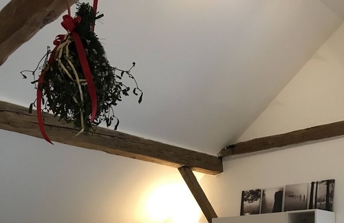 Meckenheim House | Holiday home "uff'm Woikeller"