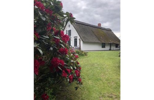 Grasberg House | Holiday home with 2 bedrooms