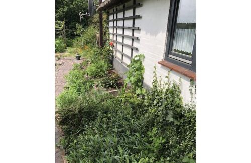 Grasberg House | Holiday home with 2 bedrooms