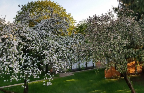 Oberhavel House | Holiday house Birkenwerder for 1 - 4 persons with 2 bedrooms - Holiday house