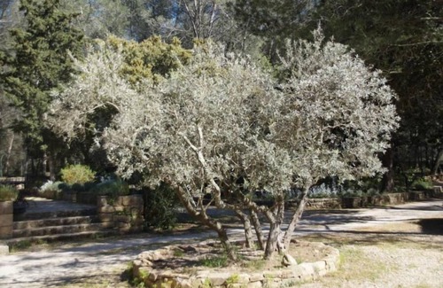 Grans House | Holiday house Grans for 1 - 5 persons with 2 bedrooms - Holiday house