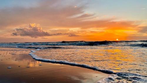 Municipality of Noordwijk House | Holiday house Zeelust - 2 km from the beach