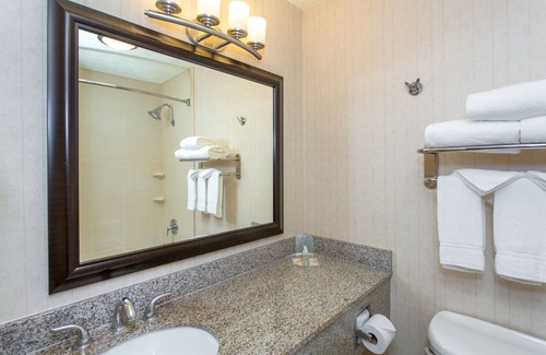 Bloomington Hotel | Holiday Inn Bloomington-University Area by IHG
