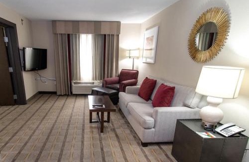 Paw Creek Hotel | Holiday Inn Charlotte Airport by IHG