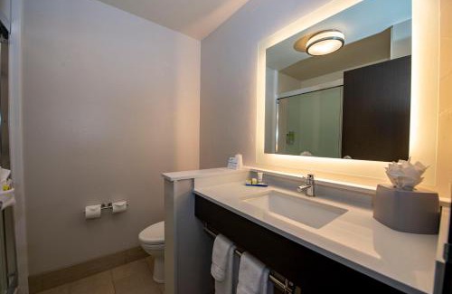 Colorado Springs Hotel | Holiday Inn Express & Suites - Colorado Springs AFA Northgate by IHG