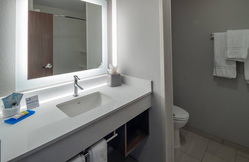 Downtown Little Rock Hotel | Holiday Inn Express and Suites Little Rock Downtown by IHG
