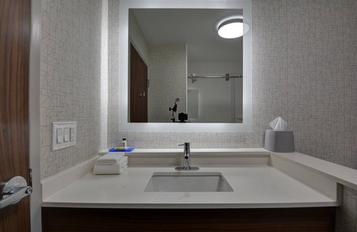 Wade Hampton Hotel | Holiday Inn Express & Suites Greenville - Taylors by IHG