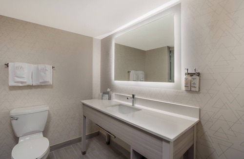 Lexington Hotel | Holiday Inn Express & Suites Lexington by IHG