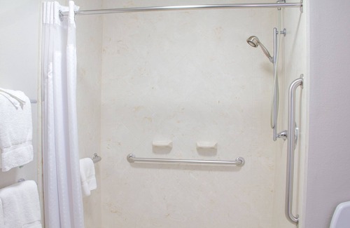 Lexington Hotel | Holiday Inn Express & Suites Lexington Dtwn Area-Keenland by IHG