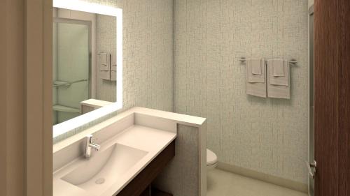 Woodstock Hotel | Holiday Inn Express & Suites Atlanta N - Woodstock by IHG