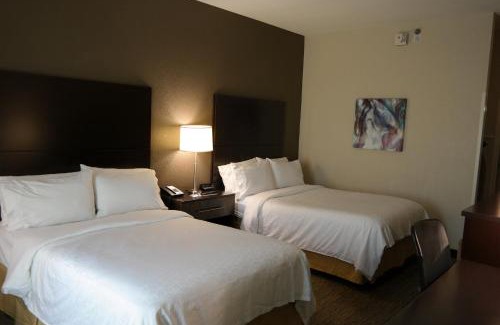 Fredericksburg Hotel | Holiday Inn Express Fredericksburg - Southpoint by IHG