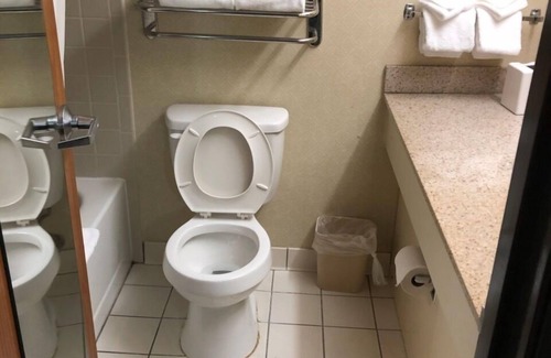 Wayne Hotel | Holiday Inn Indianapolis Airport Area N by IHG