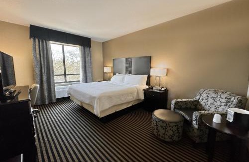 Far North Central Hotel | Holiday Inn San Antonio North Stone Oak Area by IHG