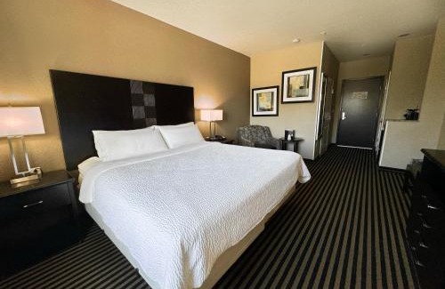 Far North Central Hotel | Holiday Inn San Antonio North Stone Oak Area by IHG