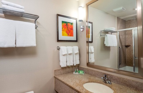 Stevens Point Hotel | Holiday Inn Stevens Point - Convention Ctr by IHG