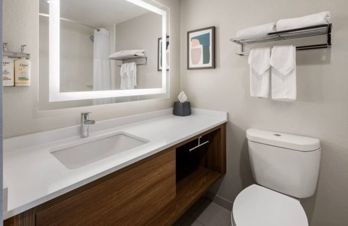 Dentsville Hotel | Holiday Inn & Suites Columbia NE - Ft Jackson Area by IHG