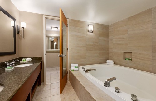 Sterling Hotel | Holiday Inn Washington-Dulles International Airport by IHG