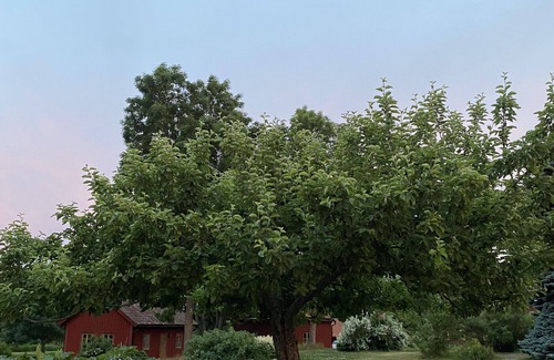 Tystberga House | Holiday on a manor property in Sörmland on the coast and the archipelago