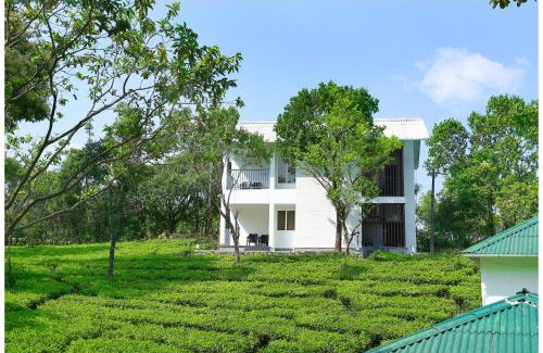 Elappara Hotel | Holiday Vagamon