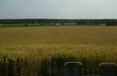 Malarhusens Apartment | Holidays in the fields near Ystad