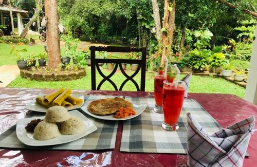 Sigiriya Villa | Holly Flowers Villa