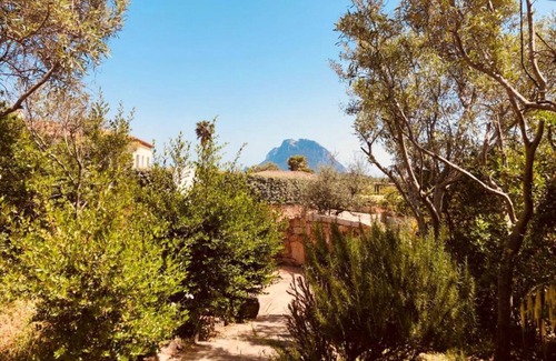 Olbia House | Home and Nature