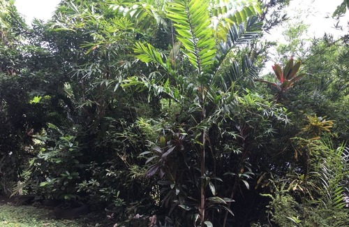 Maraval House | Home away from Home .with vacation flare!