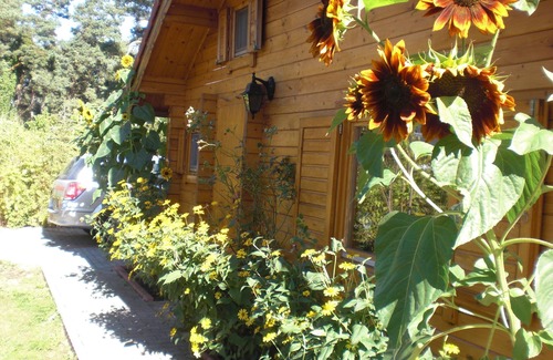 Oberhavel House | Home BerlinNah romantic log cabin