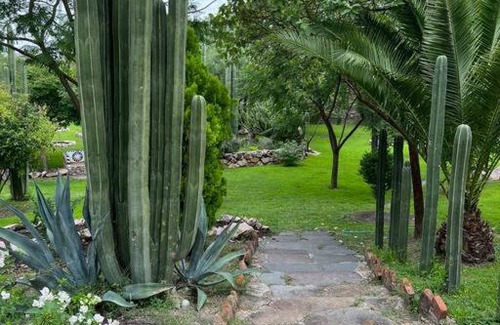 Zona Centro House | Home in San Miguel de Allende. Casita de La Aldea