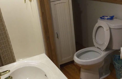 Hillman Apartment | Home is for SALE…stay in the guesthouse, and check it out.
