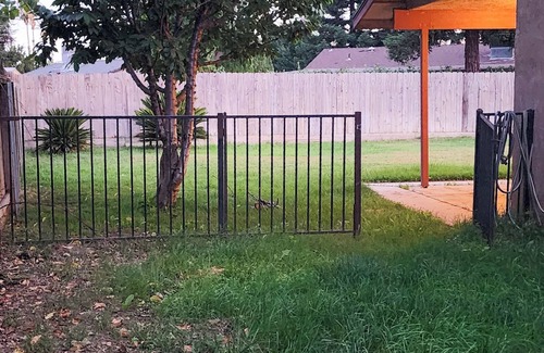 Farmersville House | Home with family King bed. To Visalia 4 min. Away. Near sequoia tional park
