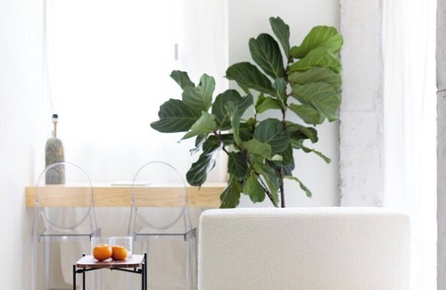 Santa Cruz de Tenerife Apartment | Home2Book Design Studio in Santa Cruz Center
