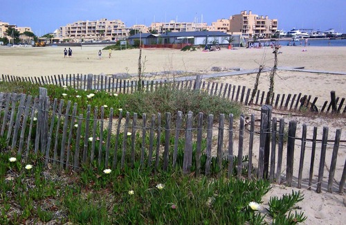 La Faviere Apartment | Homerez - 50 m away from the beach! Beautiful studio for 2 ppl. with shared pool