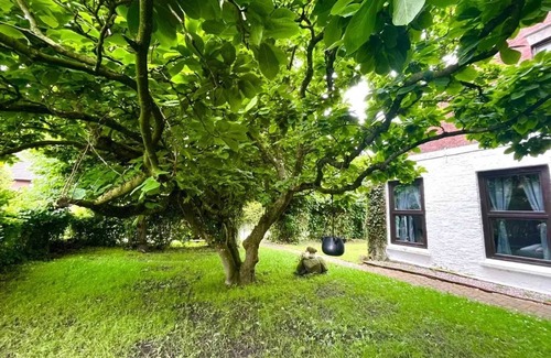Emden Apartment | Homerez - Bright apartment in Emden with terrace 60 m²