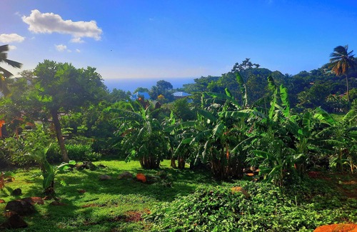 Cafeiere House | Homerez - Charming House in Deshaies, Private Pool