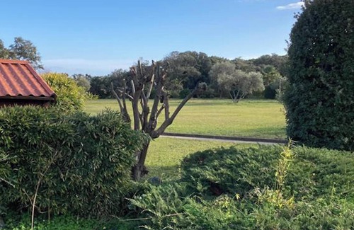 Prunete Apartment | Homerez - Charming Studio in Cervione with Shared Pool - 30 m²