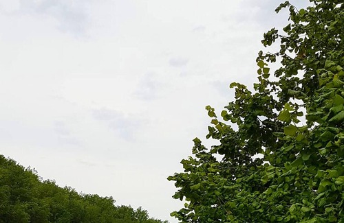Sauveterre House | Homerez - House for 4 ppl. with swimming-pool, garden and terrace at Sauveterre