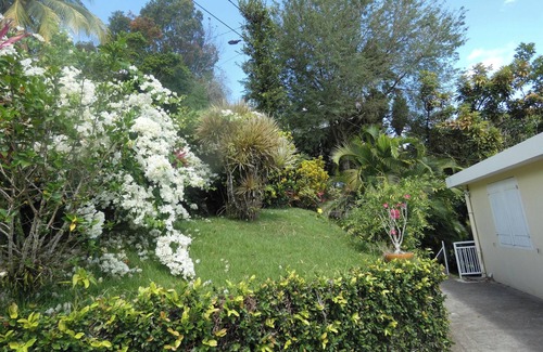 Fort-de-France Apartment | Homerez - Modern Apartment in Fort-de-France 70 m² - Private Garden