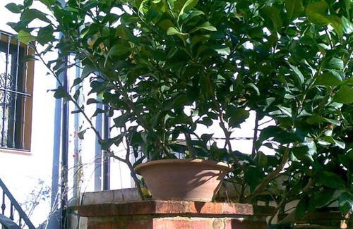 El Bosque House | Homerez - Spacious house for 4 ppl. with swimming-pool and terrace at El Bosque