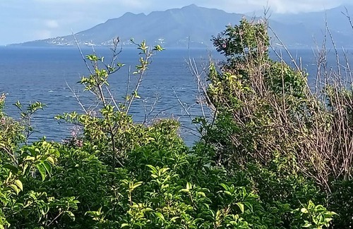 Marigot Apartment | Homerez - Studio 1 km away from the beach for 2 ppl. with sea view at Marigot
