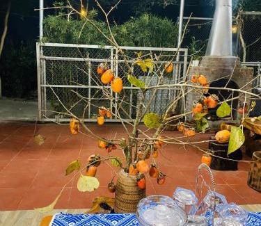 Van Chan Bed & Breakfast | Homestay Chinh Bi