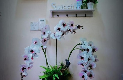 Sri Gading House | HOMESTAY Duranta Home's
