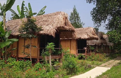 Chiem Hoa House | Homestay-farmstay Bình Dưỡng