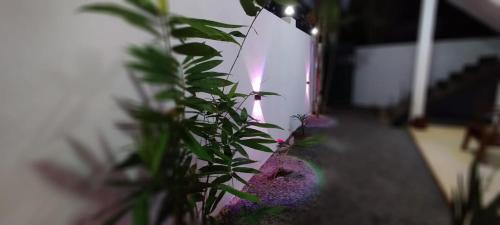 Midigama Cabin | Homestay Midigama East, Free Washer, Wi-Fi